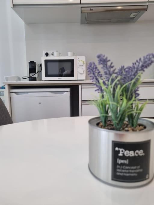 Apartament Seni'S House Porto Zewnętrze zdjęcie